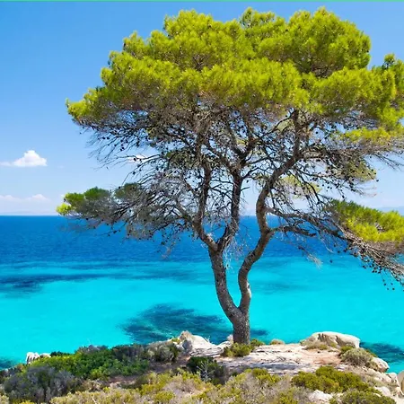 Stonehouse Ioannis Holiday home Psakoudia